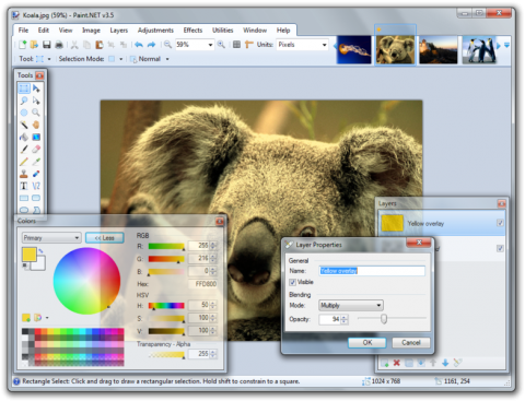 Paint.Net Screenshot